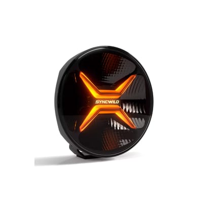 Driving light